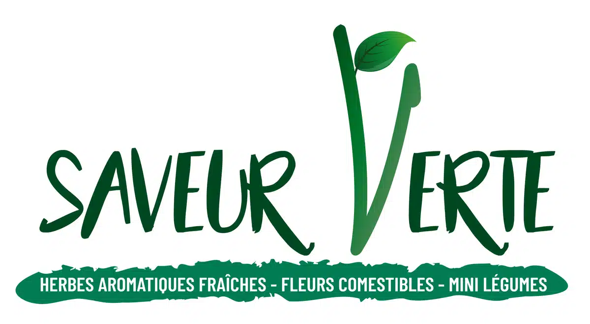 Logo Saveur Verte – marque bio et naturelle